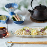 ＊手火山家　別注品＊ 手延べ素麺・煮麺セット 【贈答用】